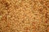 Picture of Organic Premium Lentils Yellow/Orange 20kg