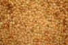 Picture of Lentils Yellow/Orange 1kg