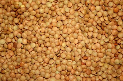 Picture of  Lentils Yellow/Orange 1kg